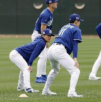 Baseball: MLB spring training