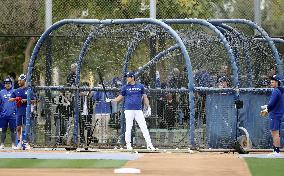 Baseball: MLB spring training