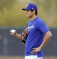 Baseball: MLB spring training