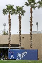 Baseball: MLB spring training