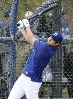 Baseball: MLB spring training