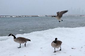 Major Snowstorm In Toronto, Canada