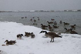 Major Snowstorm In Toronto, Canada