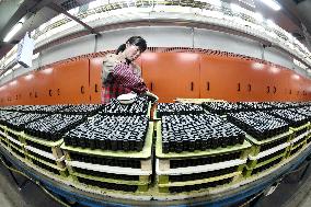 Magnetic Components Produce in Haian