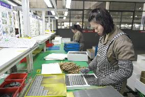 Magnetic Components Produce in Haian