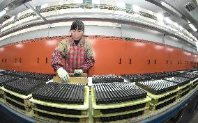 Magnetic Components Produce in Haian