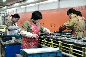 Magnetic Components Produce in Haian