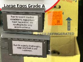 Avian Flu Causes Egg Shortage in The U.S. - LA