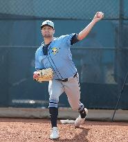 Tampa Bay Rays Spring Training