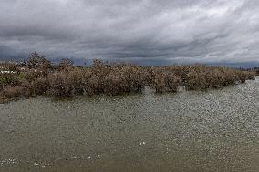 Feather River Rises During Heavy Rains