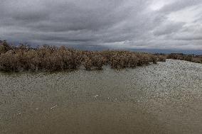 Feather River Rises During Heavy Rains