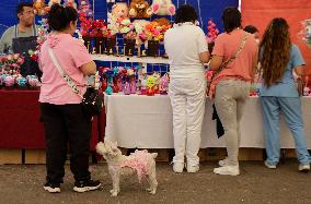 Residents Of Tláhuac Prepare For Valentine's Day In Mexico City