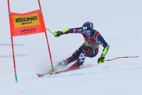 SPORT INVERNALI - Sci Alpino - FIS Alpine World Ski Championships - Men's Giant Slalom