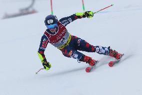 SPORT INVERNALI - Sci Alpino - FIS Alpine World Ski Championships - Men's Giant Slalom