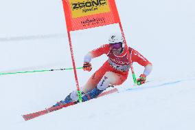 SPORT INVERNALI - Sci Alpino - FIS Alpine World Ski Championships - Men's Giant Slalom
