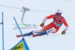 SPORT INVERNALI - Sci Alpino - FIS Alpine World Ski Championships - Men's Giant Slalom