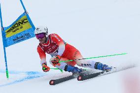 SPORT INVERNALI - Sci Alpino - FIS Alpine World Ski Championships - Men's Giant Slalom