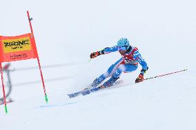 SPORT INVERNALI - Sci Alpino - FIS Alpine World Ski Championships - Men's Giant Slalom