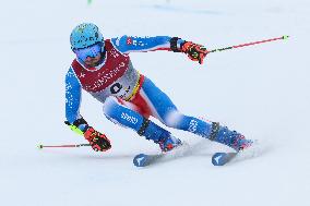 SPORT INVERNALI - Sci Alpino - FIS Alpine World Ski Championships - Men's Giant Slalom