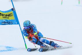 SPORT INVERNALI - Sci Alpino - FIS Alpine World Ski Championships - Men's Giant Slalom