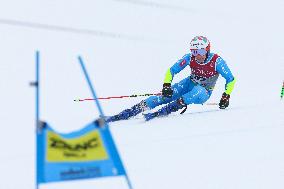 SPORT INVERNALI - Sci Alpino - FIS Alpine World Ski Championships - Men's Giant Slalom