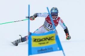 SPORT INVERNALI - Sci Alpino - FIS Alpine World Ski Championships - Men's Giant Slalom