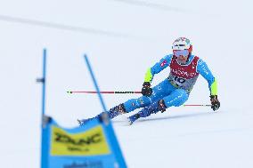 SPORT INVERNALI - Sci Alpino - FIS Alpine World Ski Championships - Men's Giant Slalom