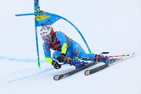 SPORT INVERNALI - Sci Alpino - FIS Alpine World Ski Championships - Men's Giant Slalom