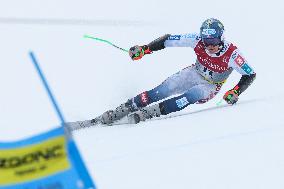SPORT INVERNALI - Sci Alpino - FIS Alpine World Ski Championships - Men's Giant Slalom