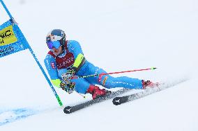 SPORT INVERNALI - Sci Alpino - FIS Alpine World Ski Championships - Men's Giant Slalom