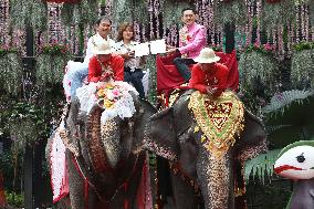 Wedding Ceremony With Elephants - Thailand