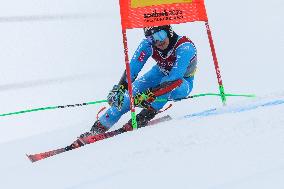 SPORT INVERNALI - Sci Alpino - FIS Alpine World Ski Championships - Men's Giant Slalom
