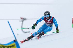 SPORT INVERNALI - Sci Alpino - FIS Alpine World Ski Championships - Men's Giant Slalom