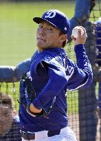 Baseball: MLB spring training