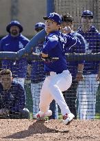 Baseball: MLB spring training