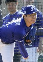 Baseball: MLB spring training