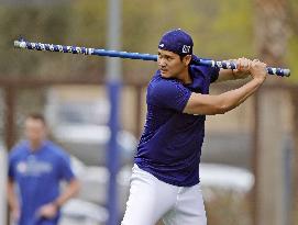 Baseball: MLB spring training