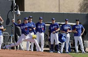 Baseball: MLB spring training