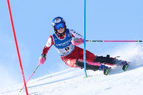 SPORT INVERNALI - Sci Alpino - FIS Alpine World Ski Championships - Women's Slalom