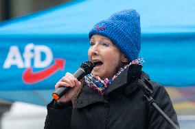 AFD Rally For Upcoming Election And Large Counter Protest Demostration In Duesseldorf