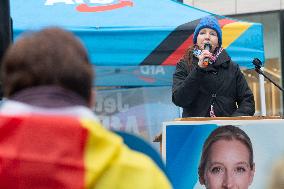 AFD Rally For Upcoming Election And Large Counter Protest Demostration In Duesseldorf