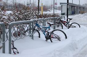 Snowstorm In Toronto, Canada