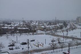 Snowstorm In Toronto, Canada