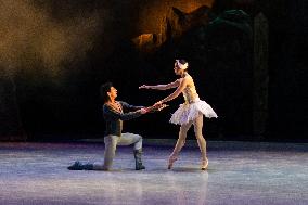 National Dance Company Perform The Swan Lake In Mexico City