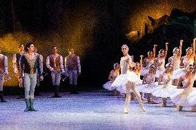 National Dance Company Perform The Swan Lake In Mexico City