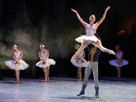 National Dance Company Perform The Swan Lake In Mexico City