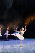 National Dance Company Perform The Swan Lake In Mexico City