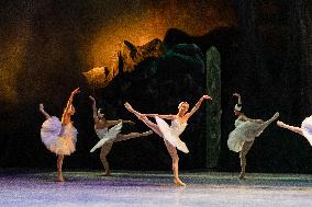 National Dance Company Perform The Swan Lake In Mexico City