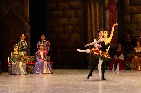 National Dance Company Perform The Swan Lake In Mexico City