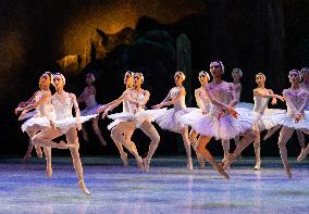 National Dance Company Perform The Swan Lake In Mexico City